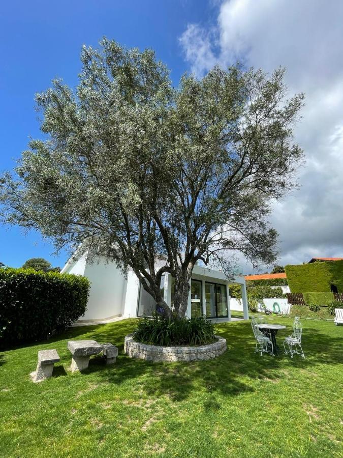 Fonte Do Forno Villas Afife Exterior photo