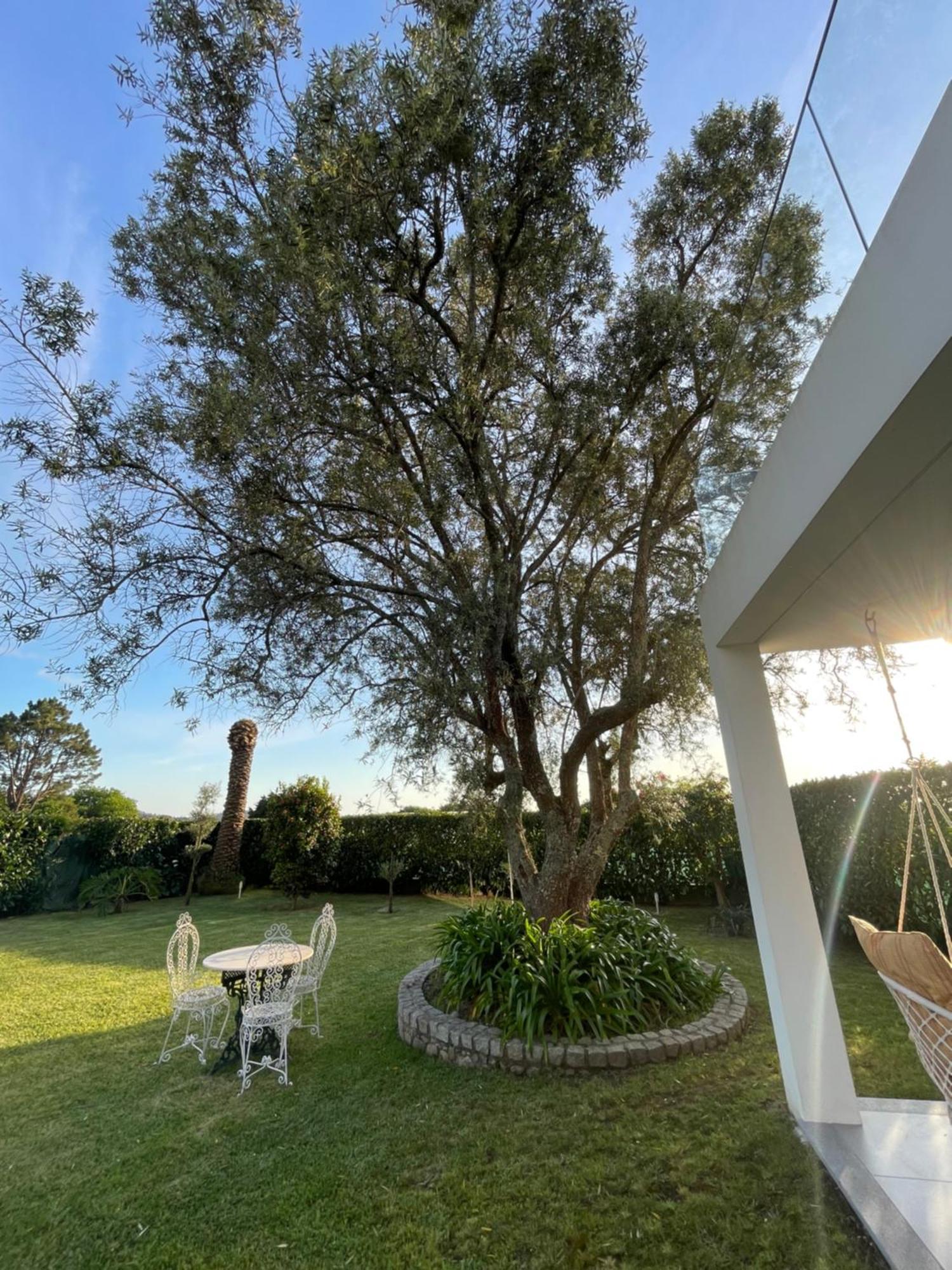 Fonte Do Forno Villas Afife Exterior photo